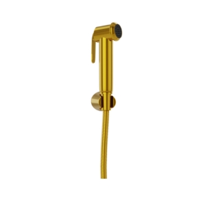 Picture of Health Faucet Kit - Gold Bright PVD