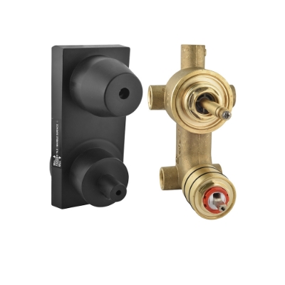 Picture of Aquamax In-wall Body of Single Lever Shower Mixer