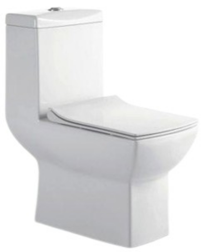 Picture of Rimless Single Piece WC